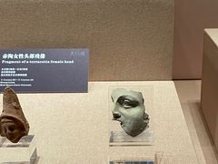 -广西壮族自治区博物馆