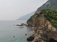 -杨梅坑