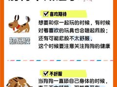 -翊宠yipet猫狗购宠庄园犬舍•猫舍