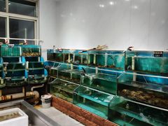 -正亮农家院·海鲜本地菜
