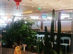 -润园四季椰子鸡火锅(南山海岸城店)