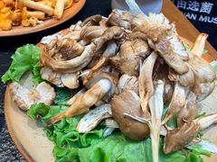 -菌自由丨野生菌火锅特色庭院餐厅(丽江古城店)