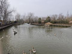 -溱湖国家湿地公园