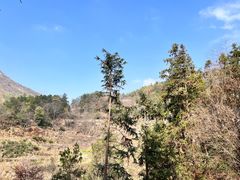 -长沙黑麋峰国家森林公园
