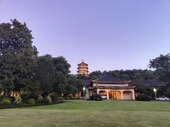 -浙江西子宾馆·牡丹厅