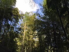 -山沟沟景区
