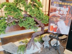 -桃夭日式料理(国信店)