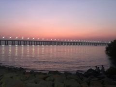 -宝安西湾红树林湿地公园