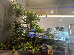 -bluefrog蓝蛙(皇庭广场店)