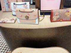 -COACH蔻驰(SKP男士店)