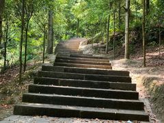 -凤栖山