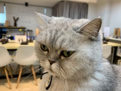 -Oasis绿洲银饰珍珠手作diy(壹方城店)
