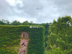 -蛇蟠岛
