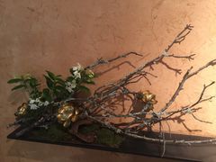 -微热山丘(台北民生公园门市店)