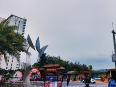 -北海金海湾红树林生态旅游区