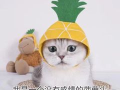 -奈雪的茶(苏宁广场店)