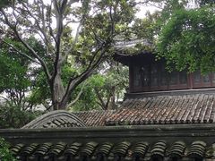 -汇龙潭