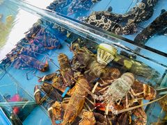 -七鲜渔港美食餐厅(巽寮湾海景店)