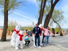 -红碱淖景区