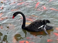 -春晖园度假酒店温泉