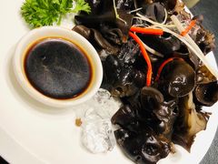 冰爽芥末木耳-蒙料·手把肉(望京店)