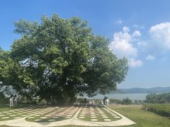 -东钱湖小普陀景区