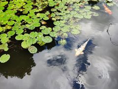 -杭州植物园