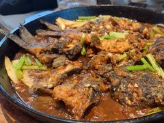 -老板恋上鱼(恒隆广场店)