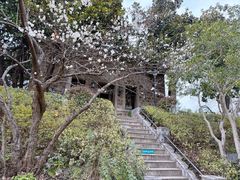 -紫金山天文台