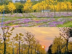 -天适樱花悠乐园