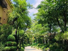 -熙古里艺术村