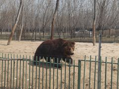 -秦皇岛野生动物园