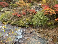 -五女峰国家森林公园