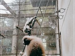 -昆明动物园