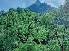 -青峰峡国家森林公园