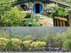 -幽岚山·童话森林