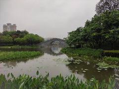 -映月湖公园