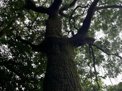 -终南山国家森林公园