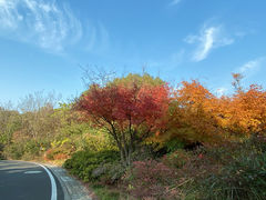 -宝界山林公园