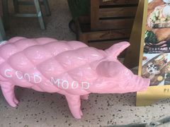 -WHEN PIGS FLY当猪飞