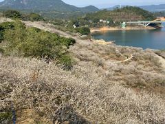 -广州市流溪河国家森林公园