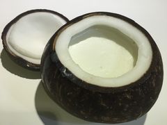 -志龙皇冠吃货椰子铺