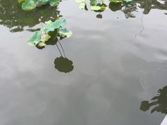 -陈云纪念馆