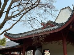 -武汉大学-樱园