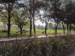 -汉长安城未央宫国家考古遗址公园