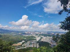 -梧桐山风景名胜区