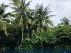 -三亚湾海居铂尔曼度假酒店