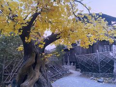 -中国汉城景区