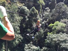 -清迈丛林飞跃 JungleFlight