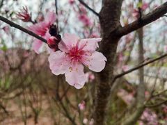 -楠溪江风景名胜区